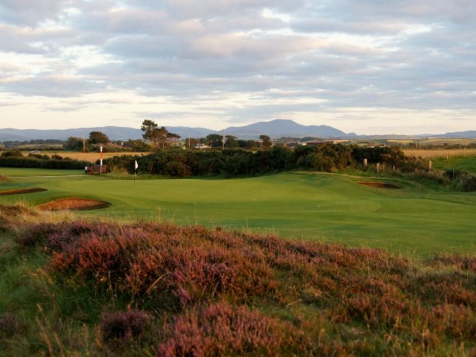 Heather and Fescue