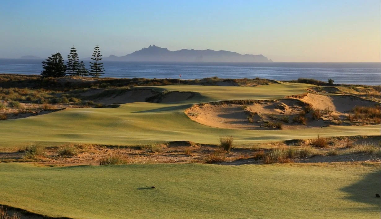 Tara Iti — dune waste area
