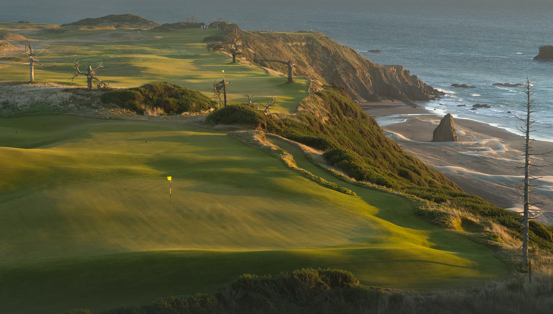 Pacific Dunes (Bandon Dunes) Course View