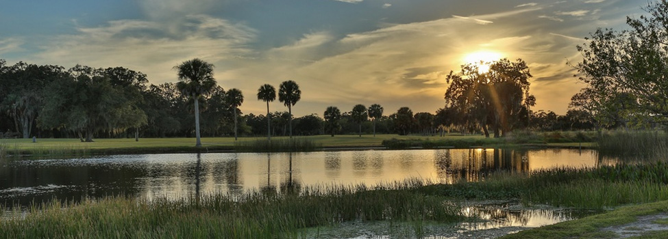 Sarasota Wetlands Sanctuary