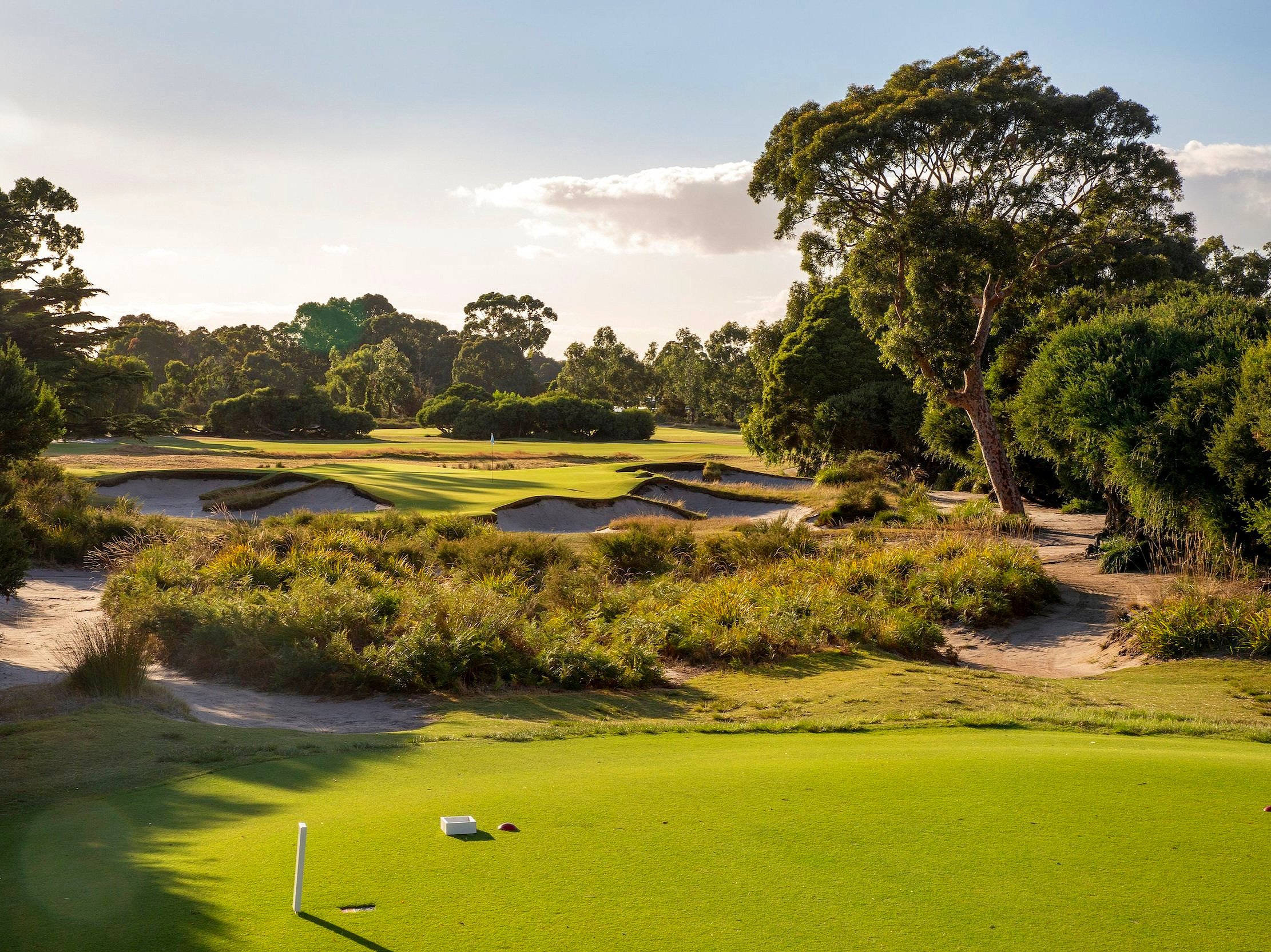 Kingston Heath Course View