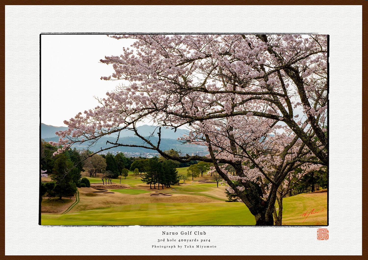 Naruo Golf Club â€” Alison bunkers