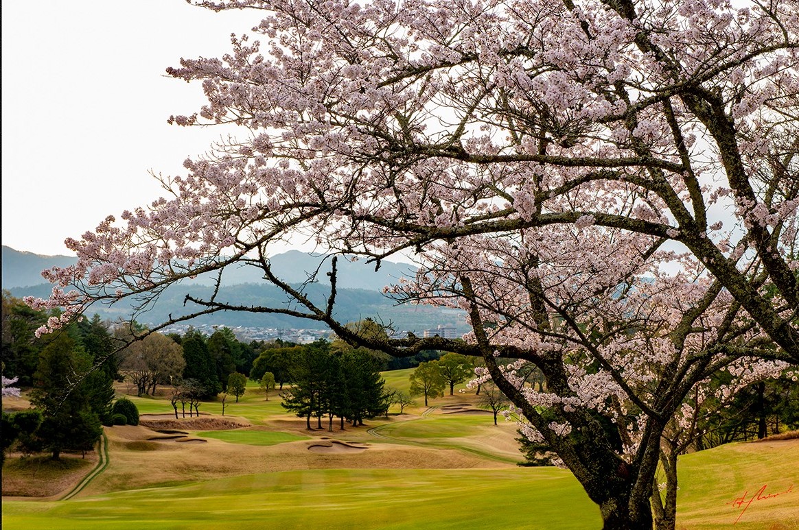 Naruo Golf Club &mdash; Tactical routing