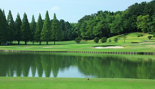 Oarai Golf Club â€” Coastal pines