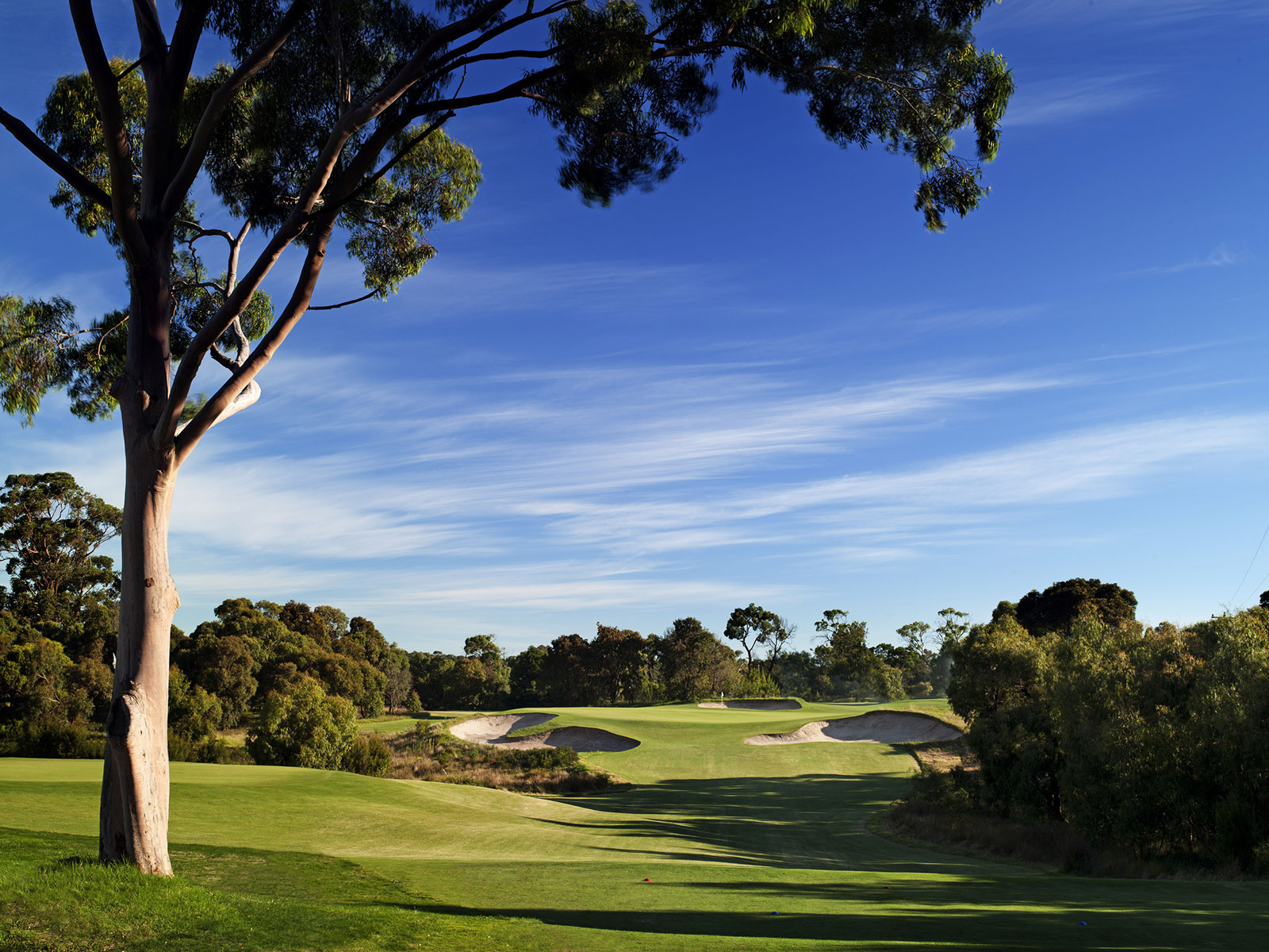 Peninsula Kingswood North