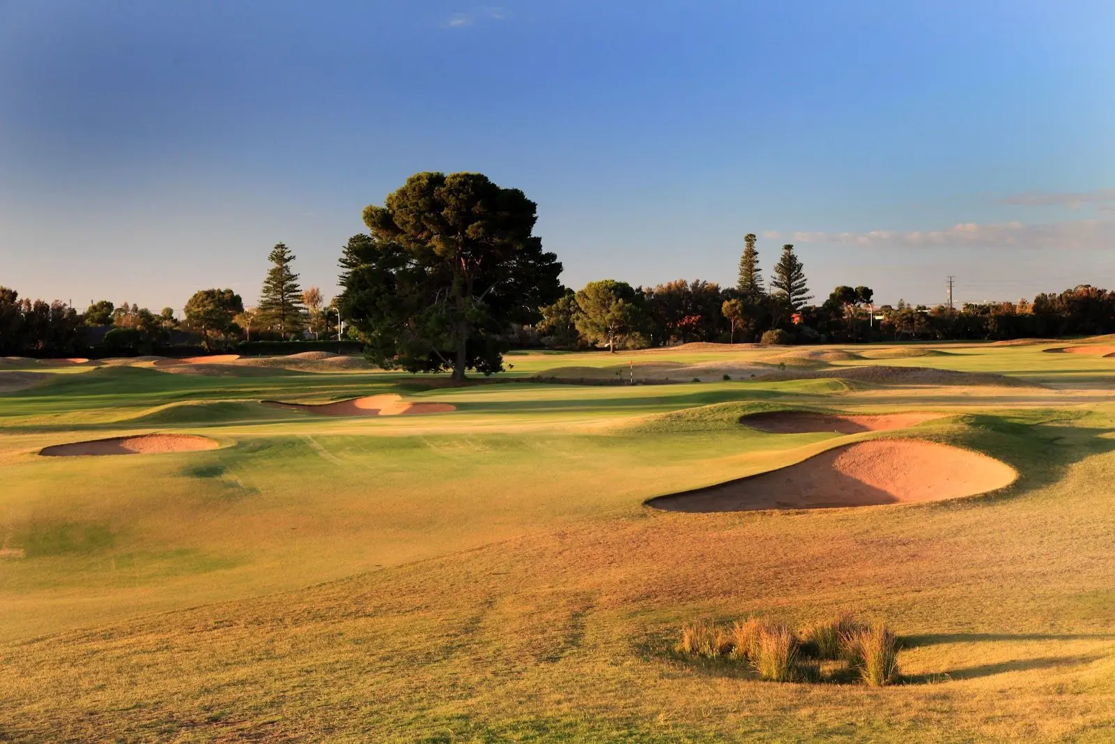 Royal Adelaide Golf Club Approach