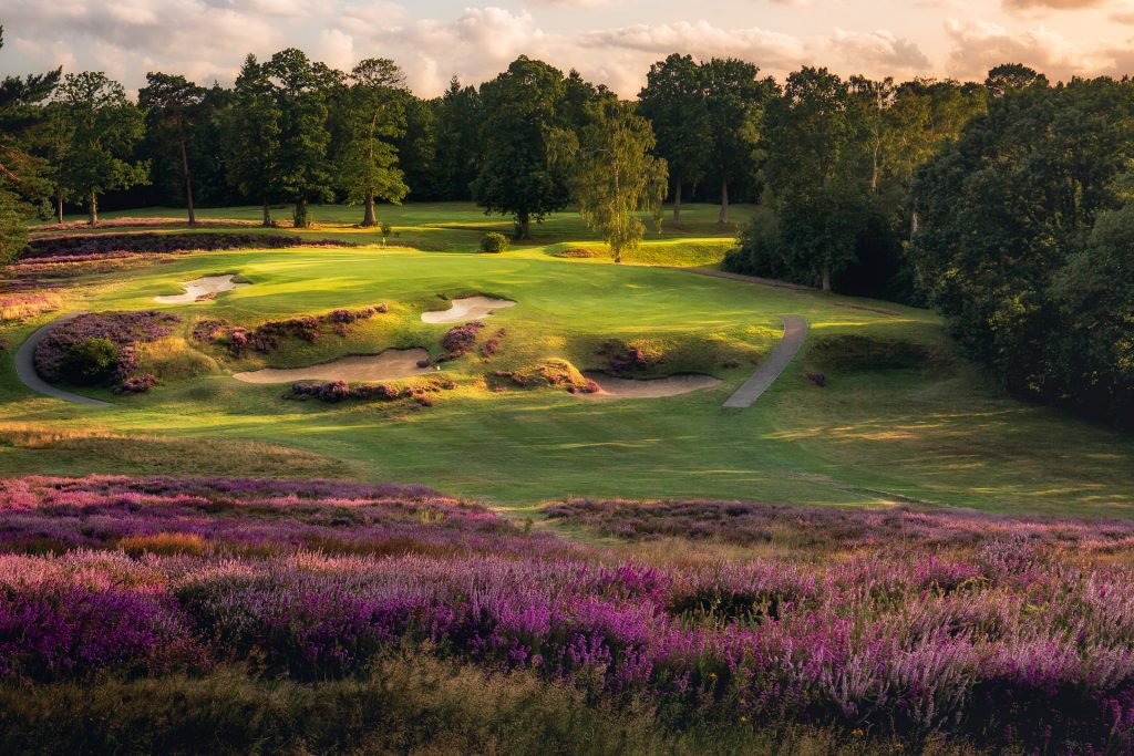 St George's Hill Fairway