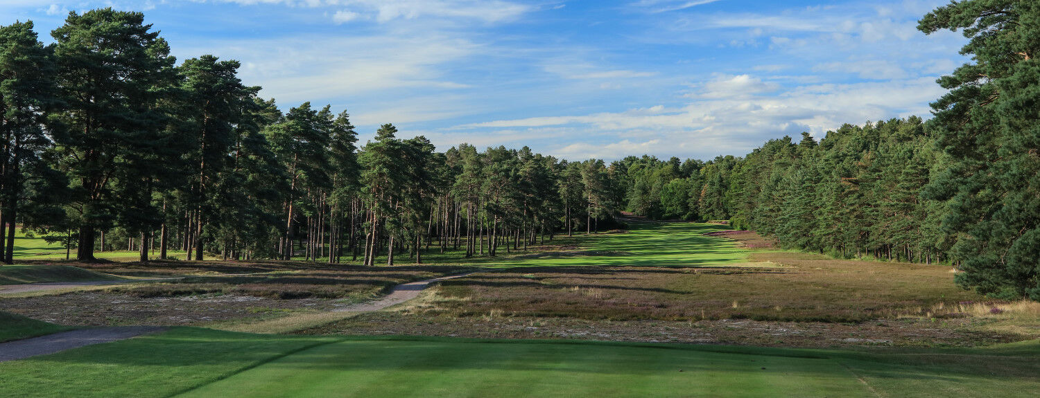 The Berkshire Overview
