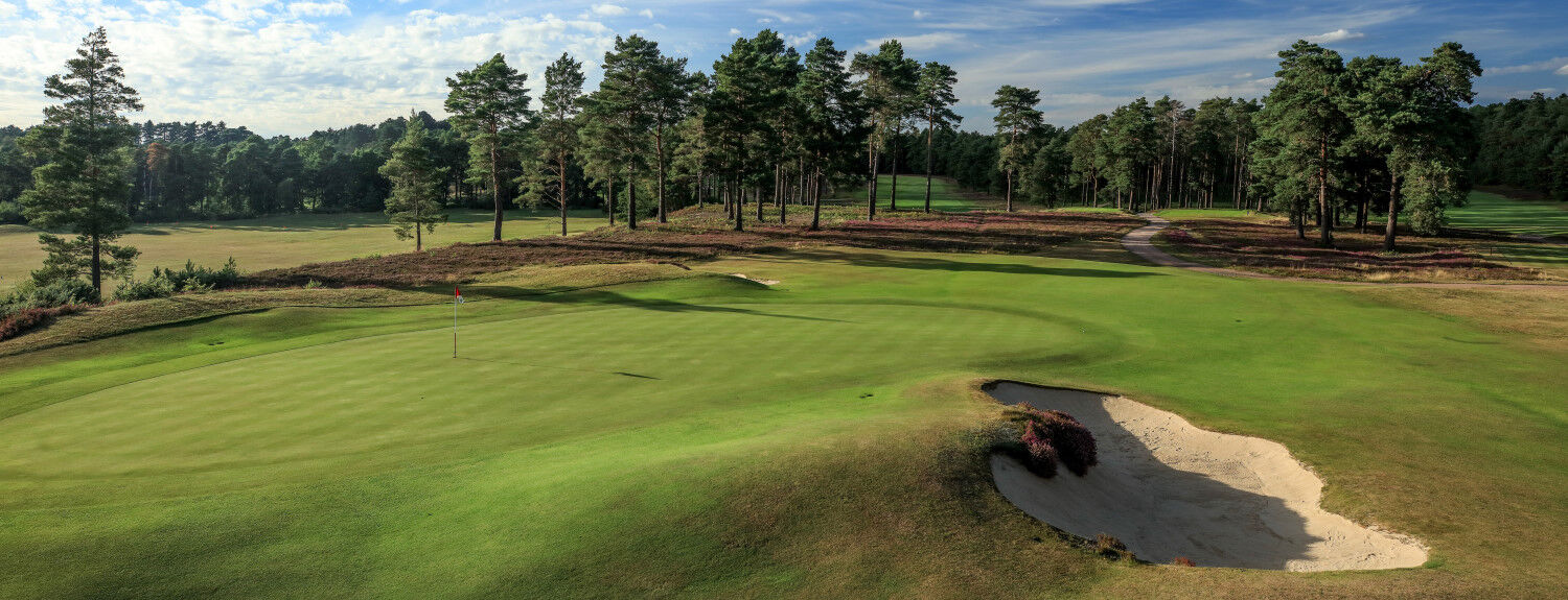The Berkshire Fairway