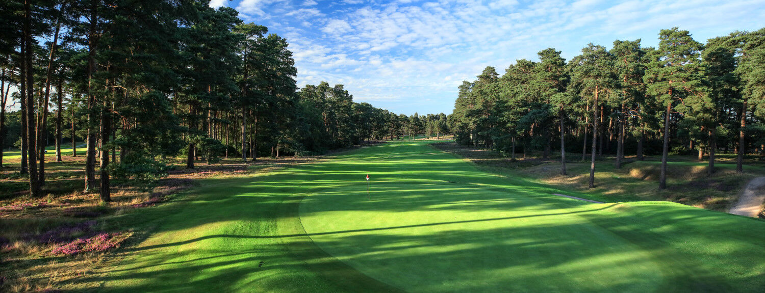 Heathland Perfection