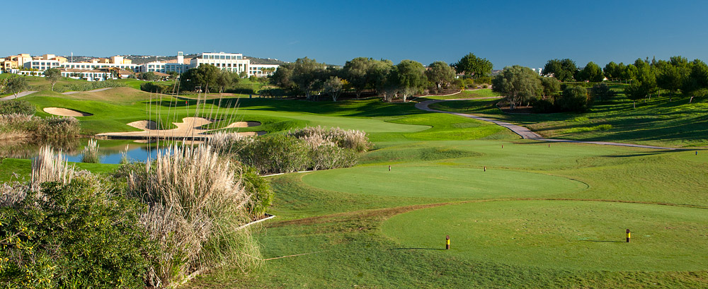 Vilamoura Old — Pine-lined avenue
