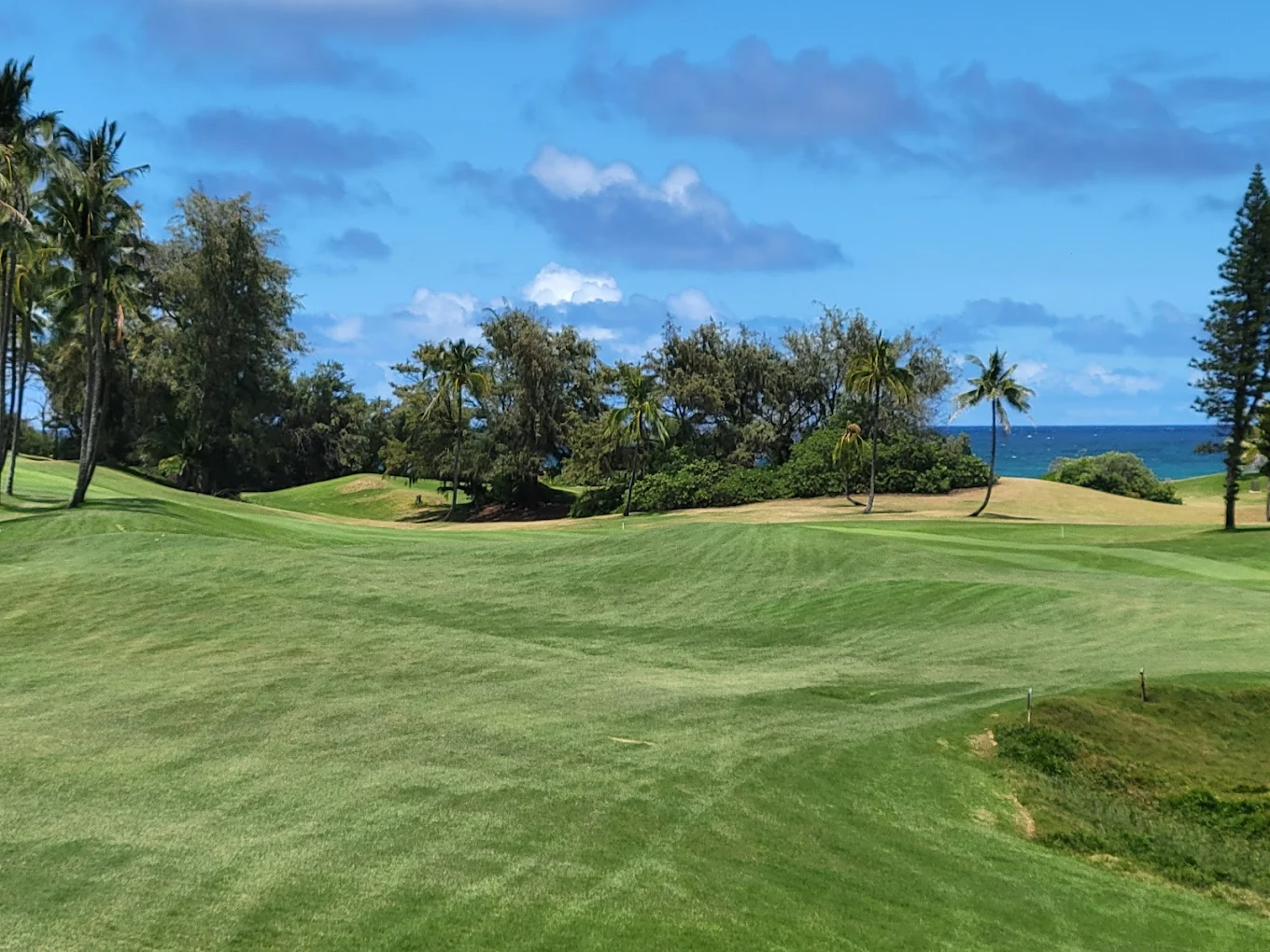 Wailua Golf Course Approach