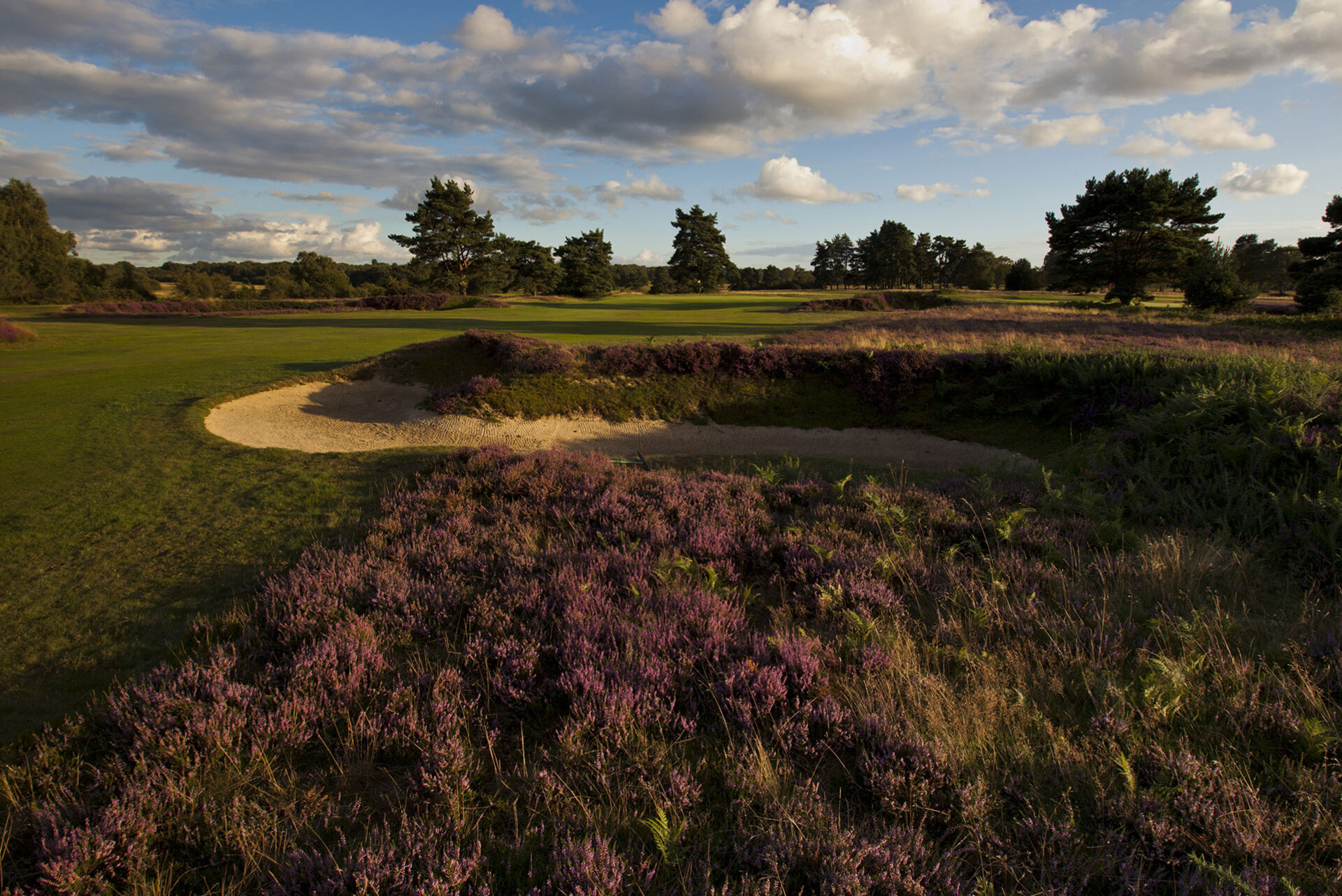 Walton Heath Overview