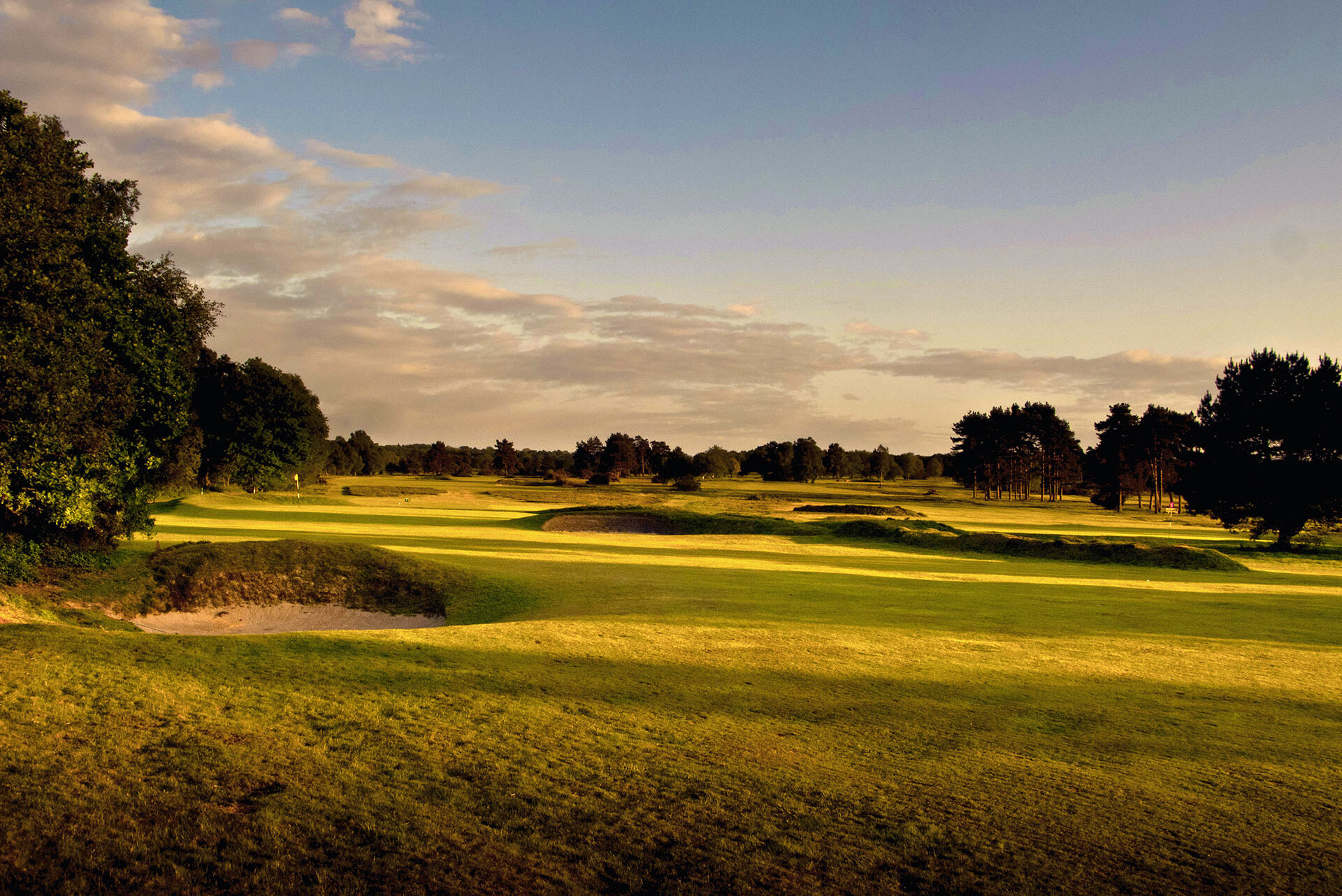 Walton Heath Fairway