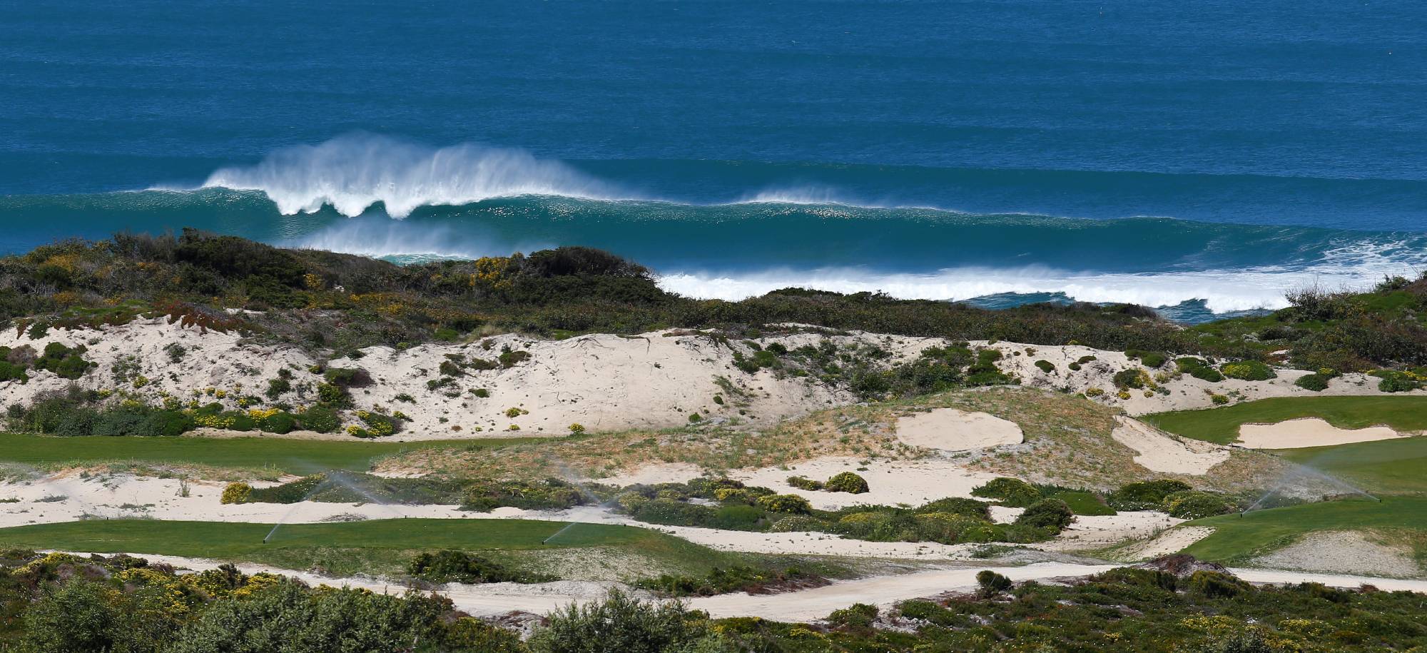 West Cliffs — Coastal scrub